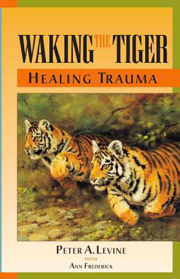 Waking The Tiger